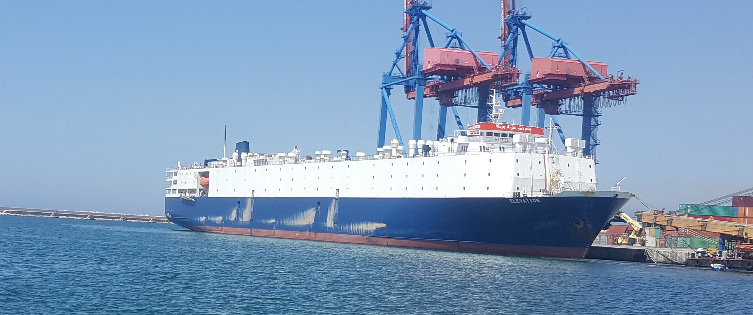 Livestock Carrier MV ELEVATION