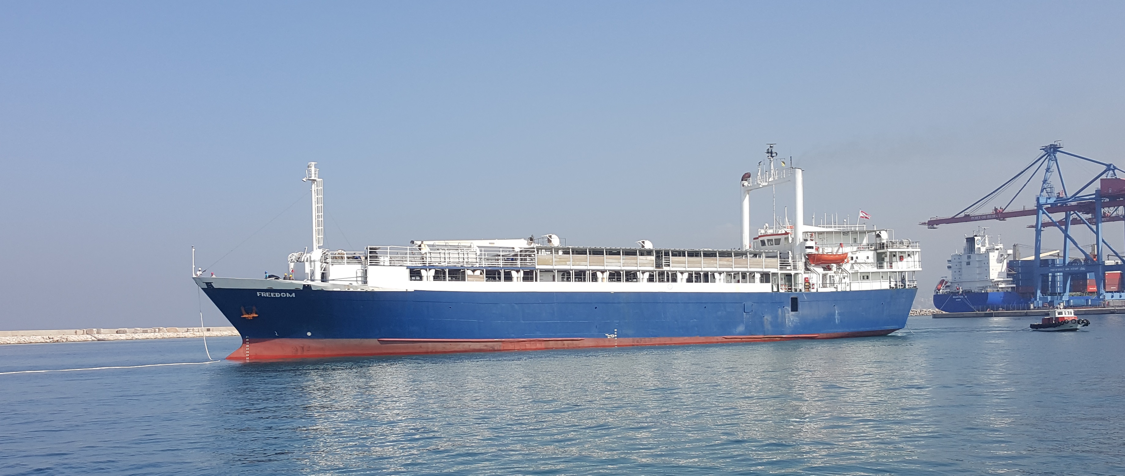 Livestock Carrier MV FREEDOM
