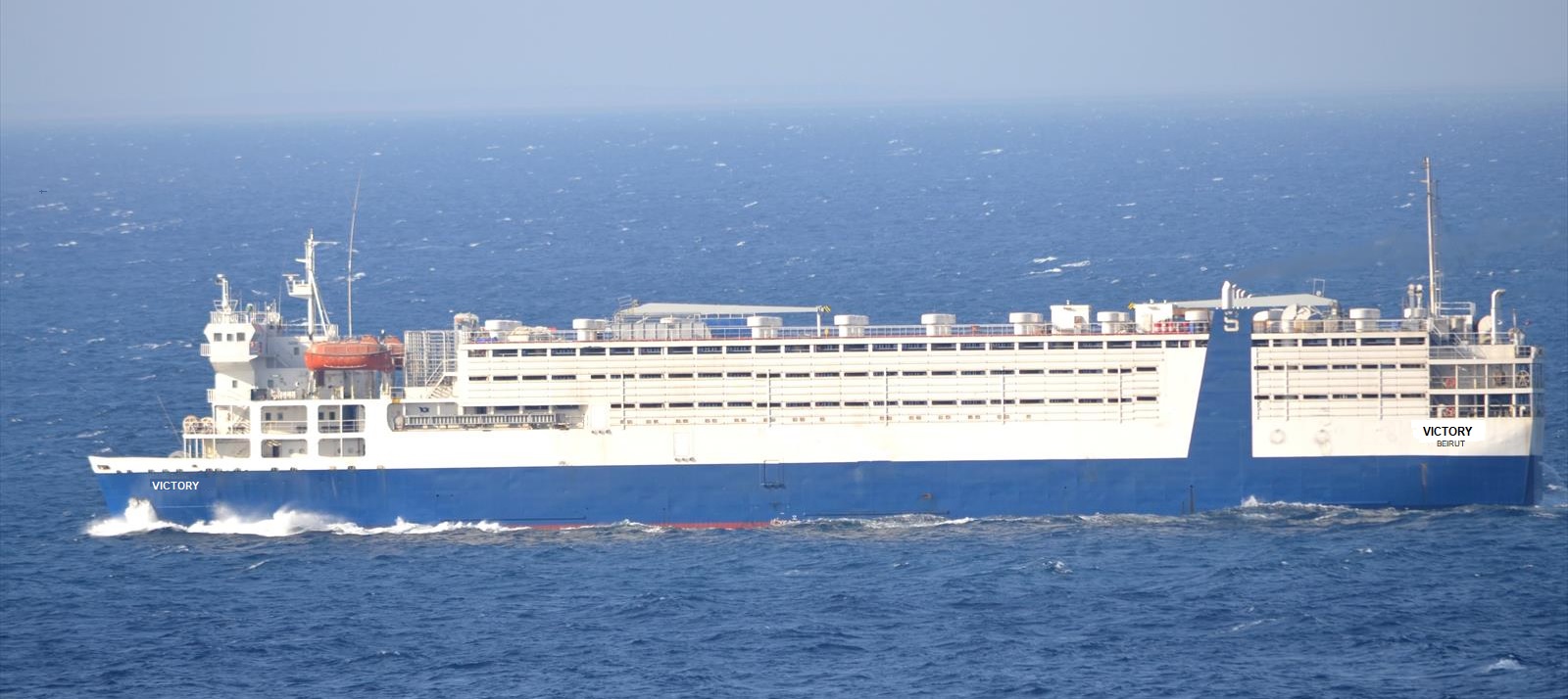 Livestock Carrier MV VICTORY